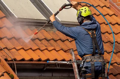 Démoussage et hydrofuge de toiture à Peyraud